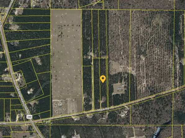 175 Mauk Rd, Mauk, GA 31058