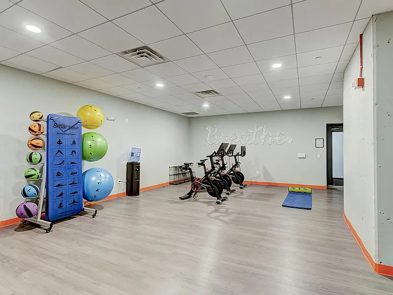 Yoga/Peleton Room