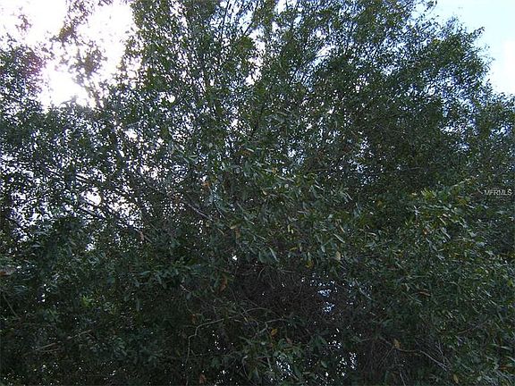 3rd image of 27081 Chile Dr
