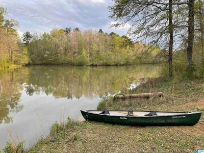 717 Branch Lake Dr, Columbiana, AL, 35051