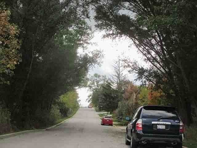 2nd image of 1N710 Western Ave