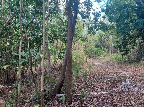 Urb Las Coles Carr 968 Km Lot 5-1.5, Palmer, PR 00721