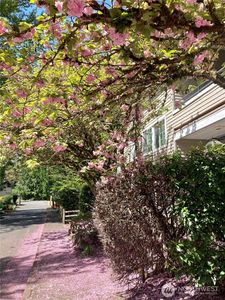 9822 NE 122nd Street #U201, Kirkland, WA, 98034