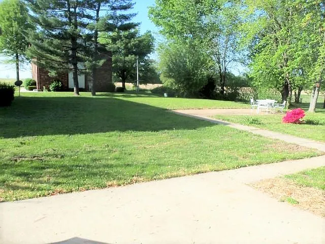 Back yard