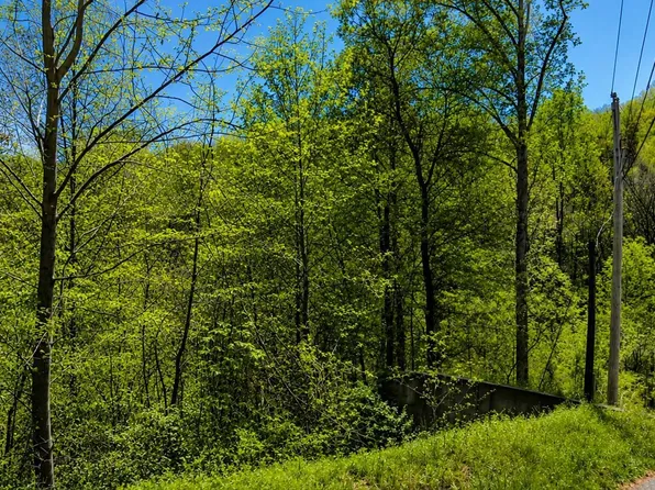 1811 Beach Front Dr, Sevierville, TN 37876