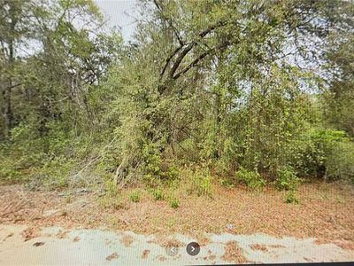 00 ELIZABETH CI LOT 28, Interlachen, FL, 32148