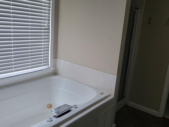 Bad photo but that is the bathtub off of the Master. It is big and looks out on the back yard.