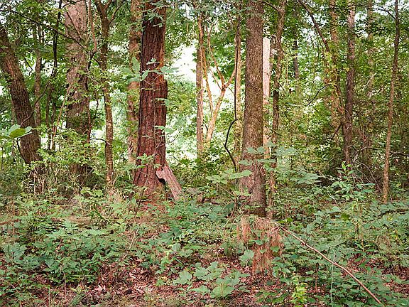 2nd image of 10 Cypress Point