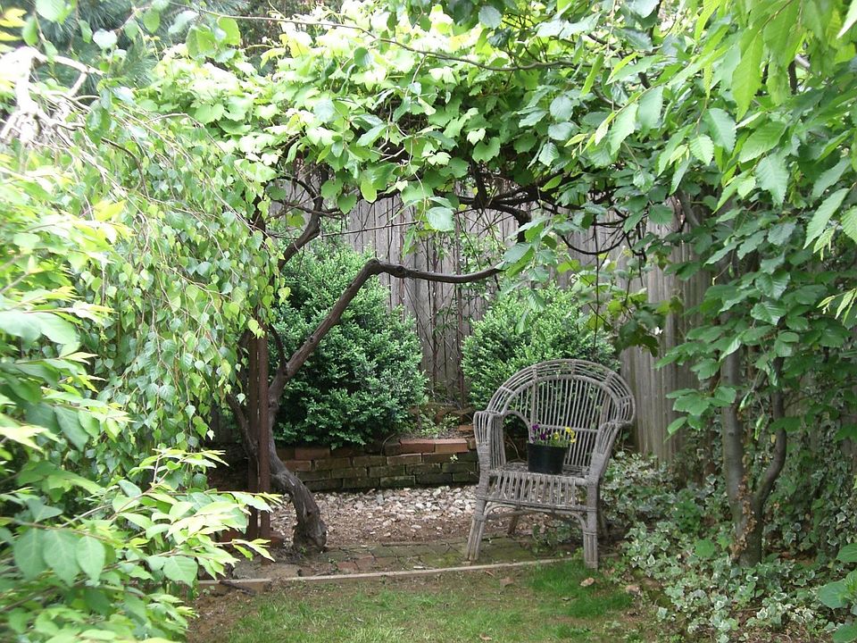 Tiny but peaceful yard