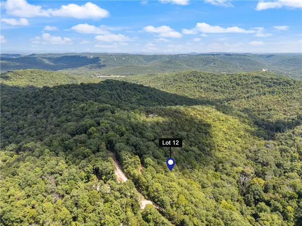County Road 206 Unit 12, Eureka Springs, AR 72632
