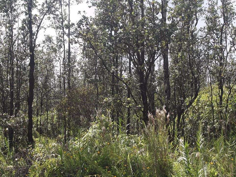 2nd image of Road F Lot 4324