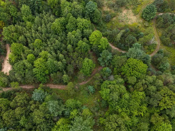 19166 Four Mile Rd, Morley, MI 49336