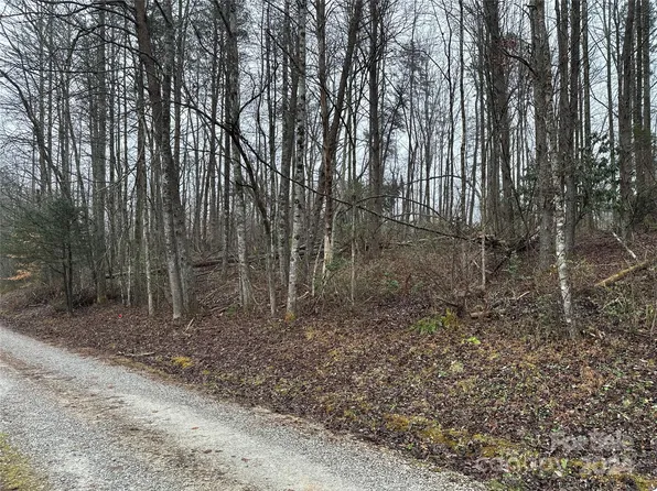TRACT 3 Timber Rd, Marion, NC 28752