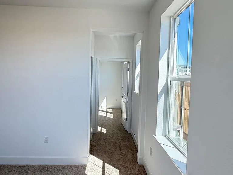 8563 Zeke Dr — Photo 11