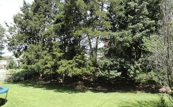 5th image of 5017 Stellamac Dr