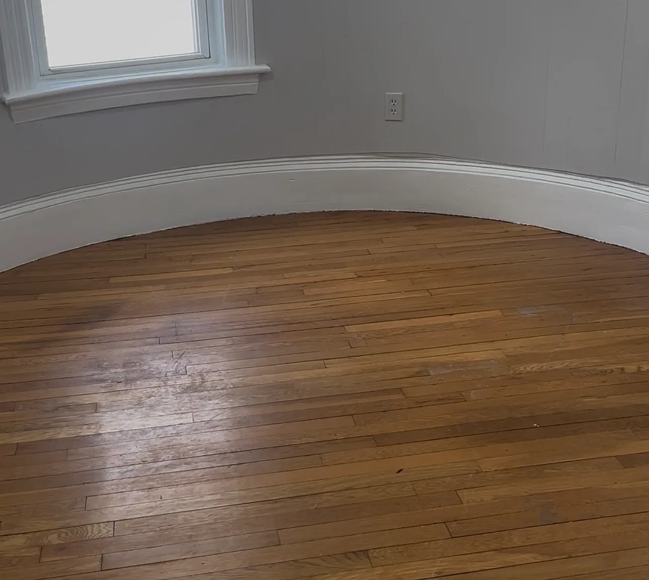 1 bed, $1,250 — Photo 1