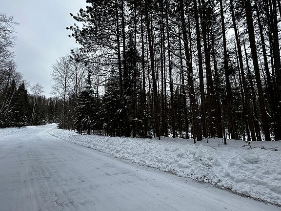 5th image of On Timber Wolf Rd