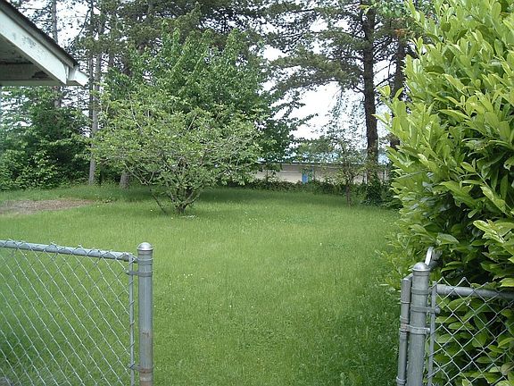 backyard - back of lot