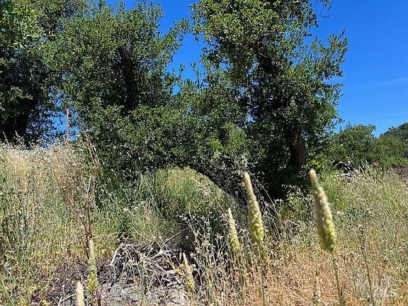 5th image of 2053 Stagecoach Road