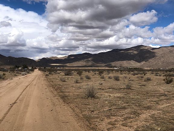 4th image of Lagartijo Dr