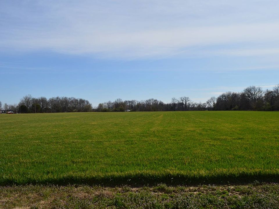 2nd image of 20 County Rd