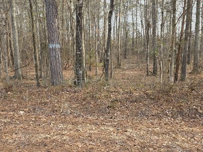 0 Lee Road 143, Salem, AL, 36874
