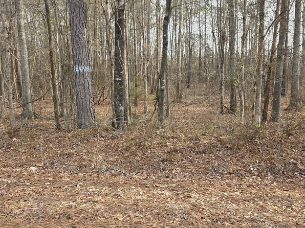 0 Lee Road 143, Salem, AL 36874