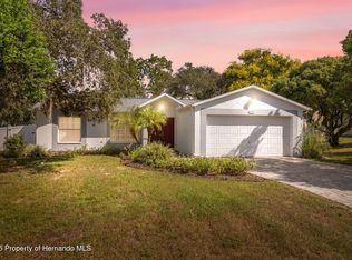 13213 Little Farms Dr, Spring Hill, FL 34609