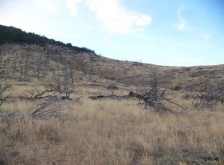Tbd I Path, Cotopaxi, CO 81223