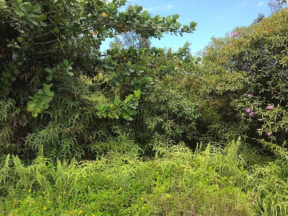 4th image of 11th Avenue Kika Lot 1513