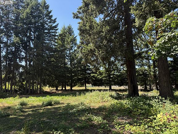 4th image of W Powell Loop