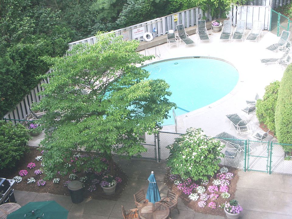 Pool and Patio