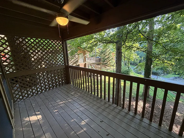 1702 Pine Tree Dr — Photo 21