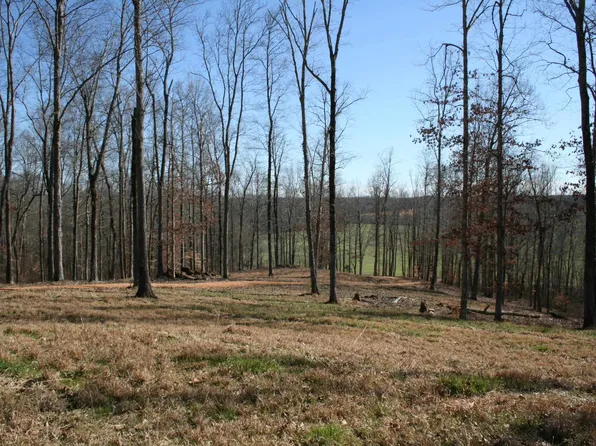 0 Poplar Springs Bargerton Rd, Lexington, TN 38351