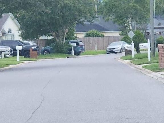 5th image of 2944 Biloxi Trl