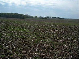 2nd image of 681 Highway 1 S