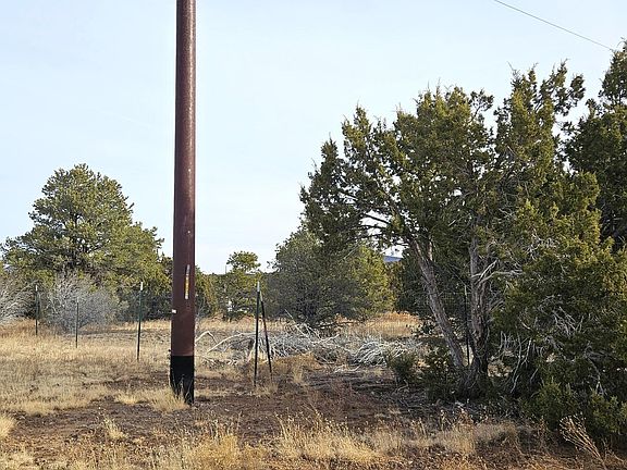 5th image of 247 E Orchid Dr