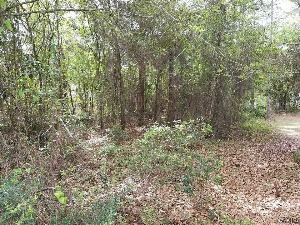 1st image of 825 E 24th Ave Lot 6
