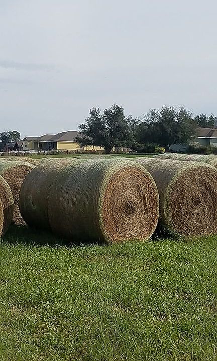 2nd image of 36365 Frazee Hill Rd