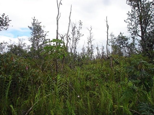 2nd image of 11th Ave Lot 1559
