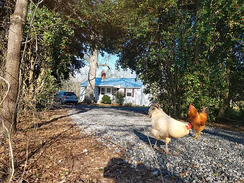 2151 Mayne Mill Rd Photo 1