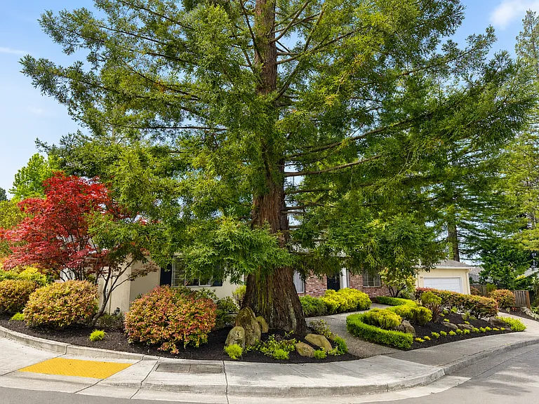 12195 Blythen Way — Photo 30