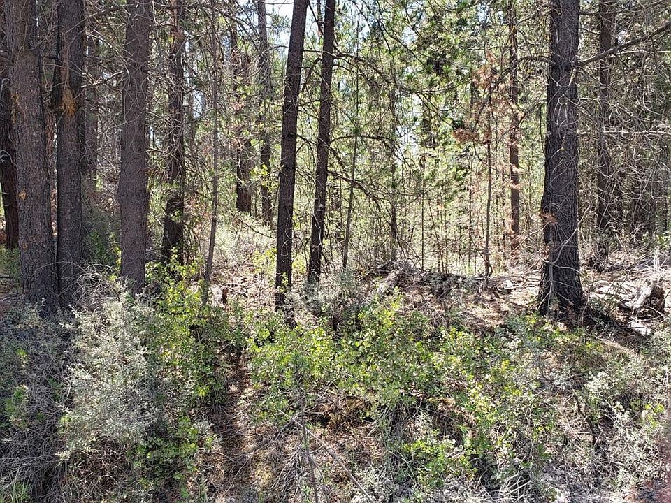 2nd image of 15605 Rim Dr