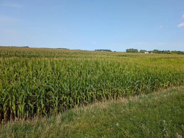 61010 180th St, Chokio, MN 56221
