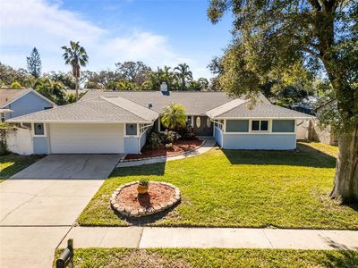1626 Spottswood Cir, Palm Harbor, FL, 34683