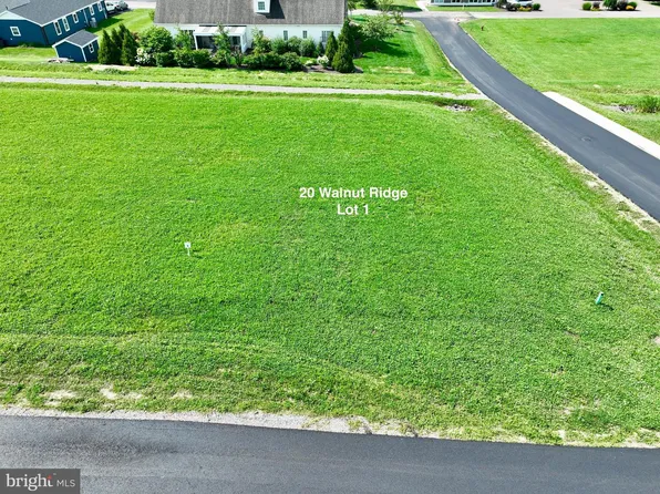 20 Walnut Rdg, Grantsville, MD 21536