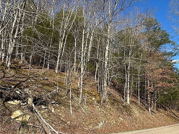 3rd image of 1038 Sycamore Rd