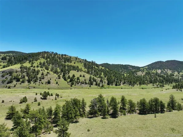00 Elk Mountain Road, Guffey, CO 80820