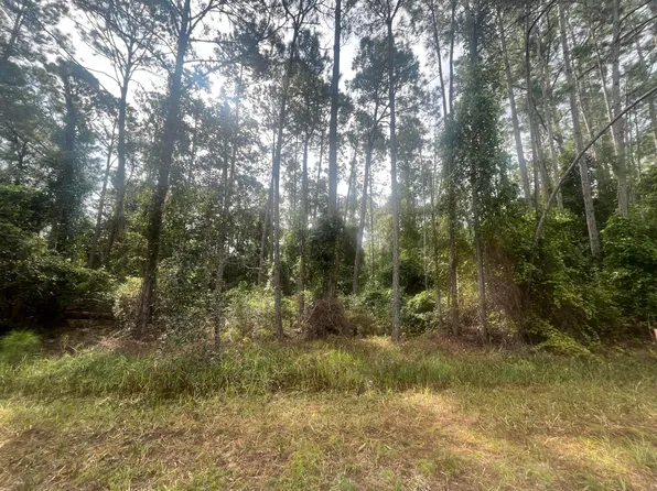 107 Pine Avenue, Georgetown, FL 32139