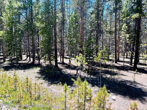 263 Tabor Dr, Leadville, CO 80461
